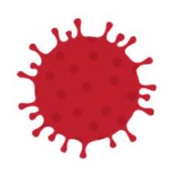 corana virus